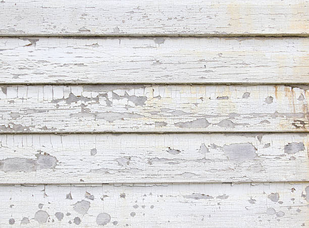 Best Shed Removal  in Ellenton, FL
